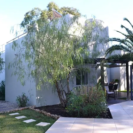 Eucalyptus